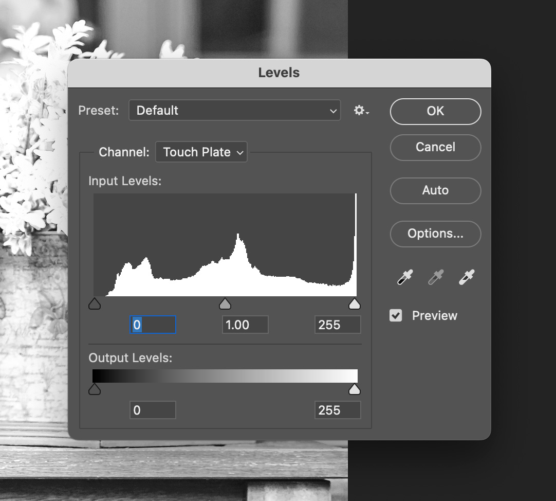 Touch Plate Demo: Adobe Photoshop Levels Default: Granite Bay Graphic Design