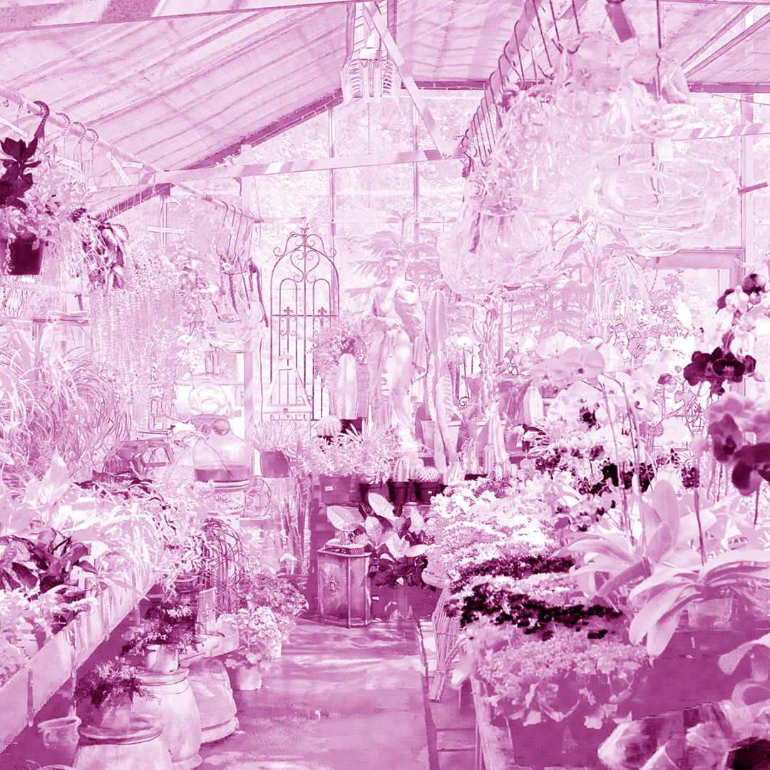 How to Make a Touch Plate: Madison Flower Shop: Paul Kazmercyk, Granite Bay Graphic Design (Magenta Plate in Magenta)
