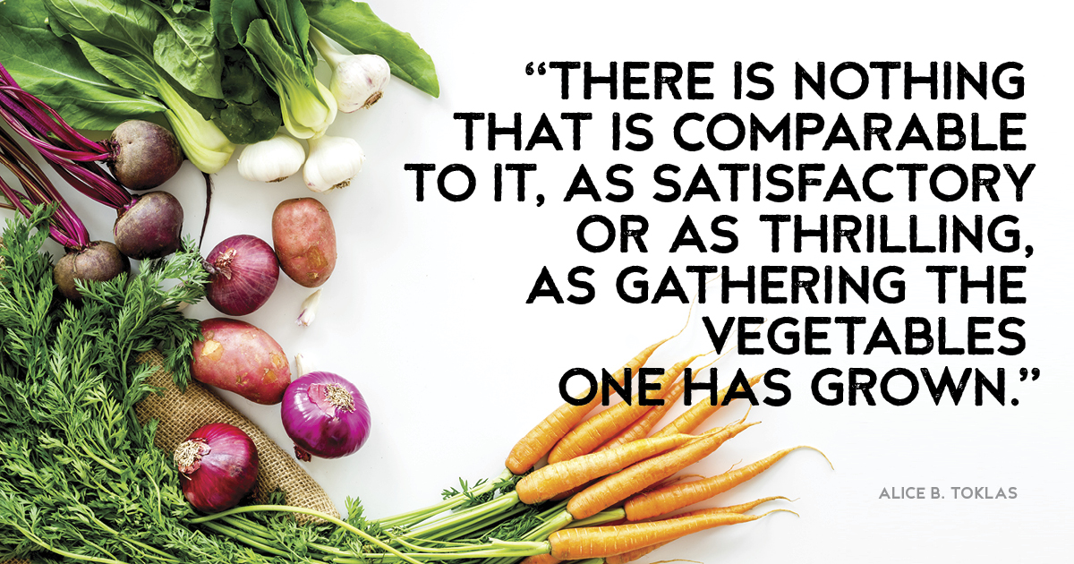 “There is nothing that is comparable to it, as satisfactory or as thrilling, as gathering the vegetables one has grown.” Alice B. Toklas