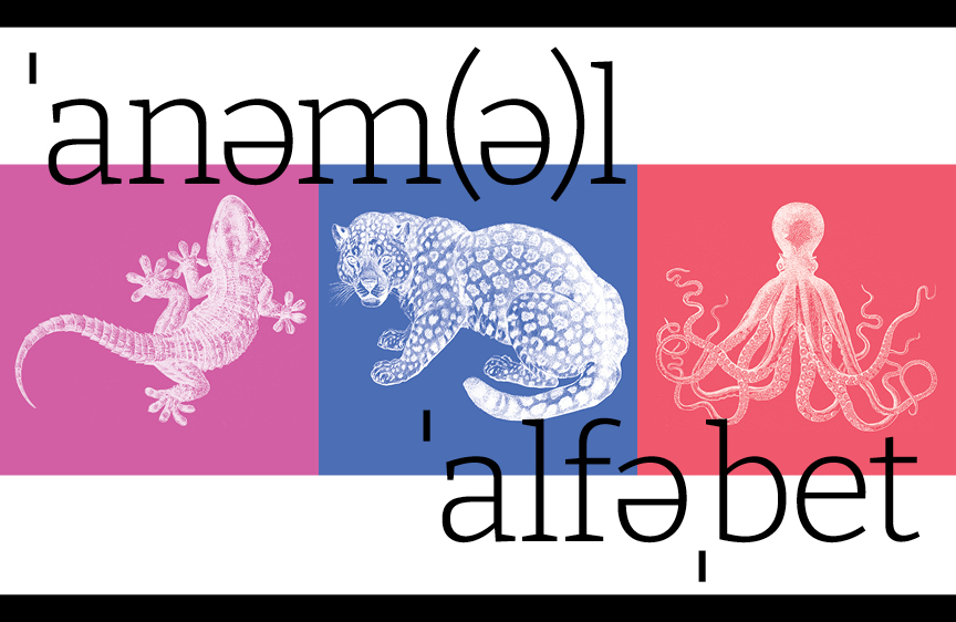 An Animal Alphabet by Paul Kazmercyk at Granite Bay Graphic Design