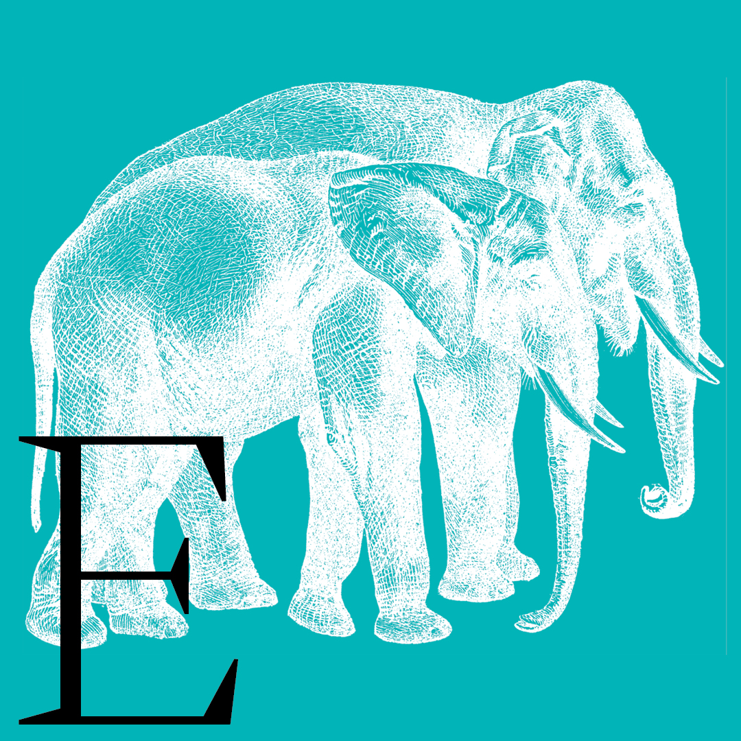 Elephant–From the Granite Bay Graphic Design Animal Alphabet