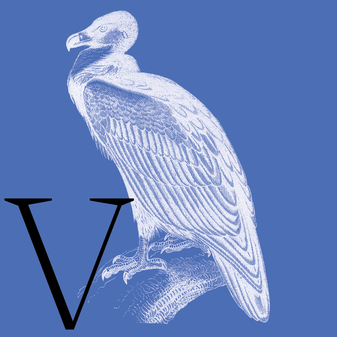 Vulture–From the Granite Bay Graphic Design Animal Alphabet