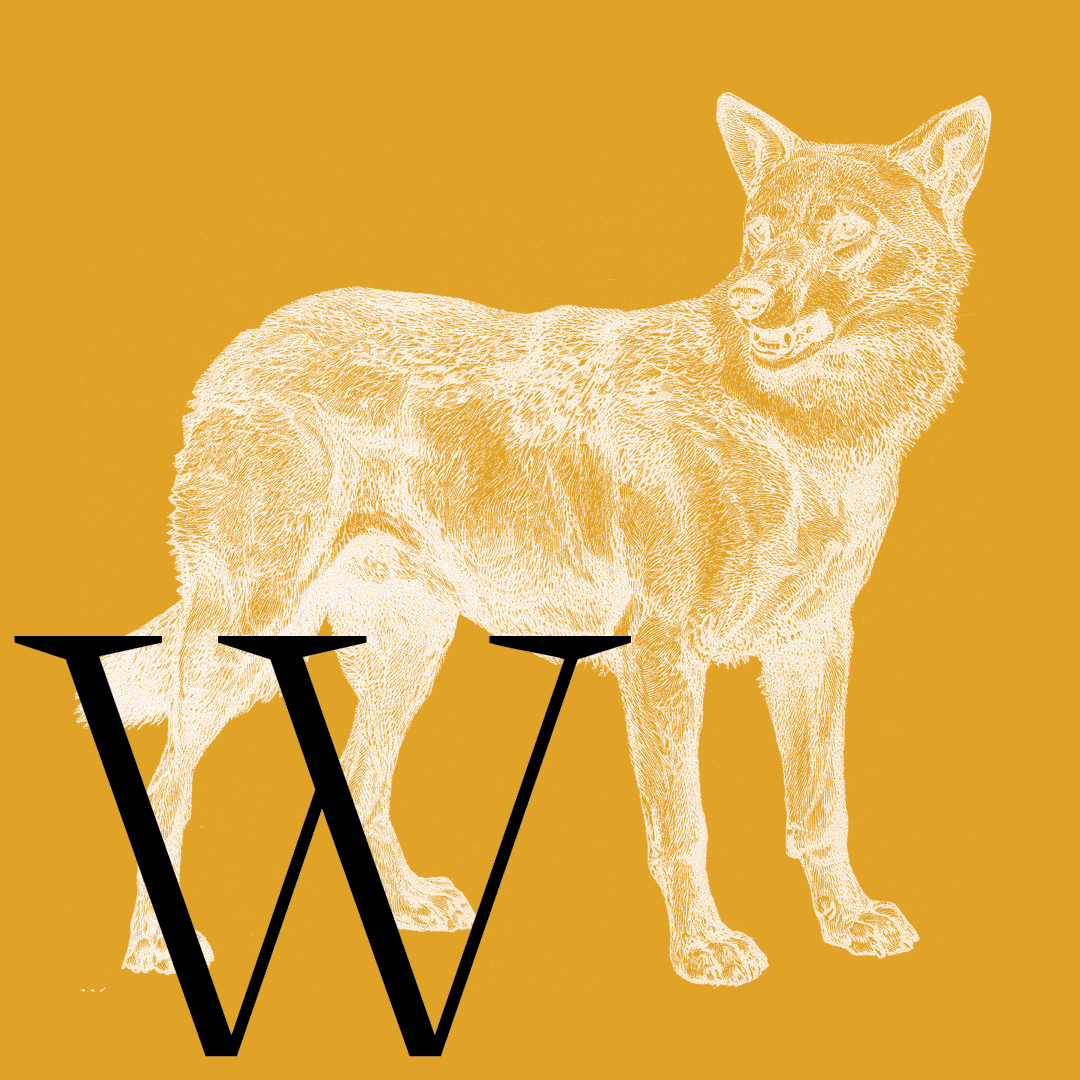 Wolf–From the Granite Bay Graphic Design Animal Alphabet