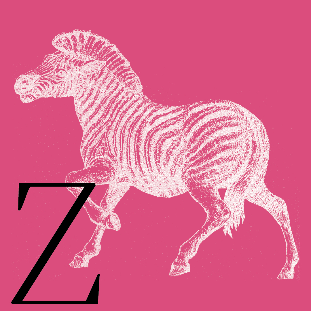 Zebra–From the Granite Bay Graphic Design Animal Alphabet