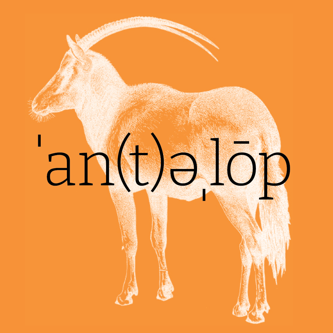 Antelope–Animal Alphabet by Granite Bay Graphic Design