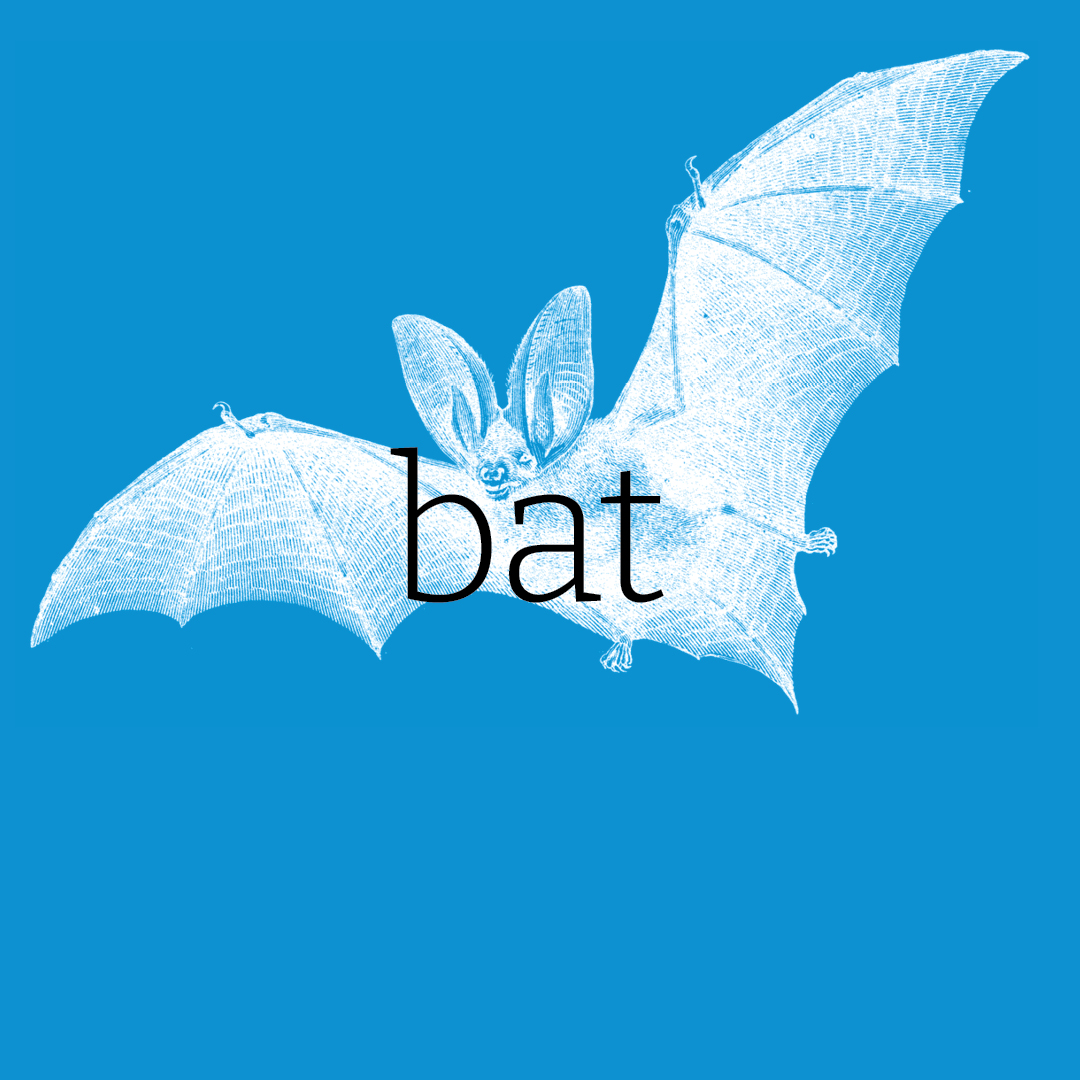 Bat–Animal Alphabet by Granite Bay Graphic Design