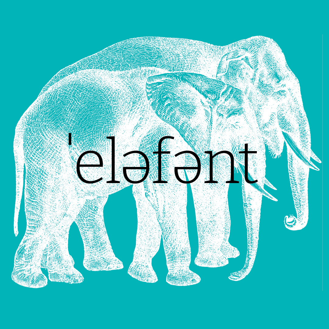 Elephant–Animal Alphabet by Granite Bay Graphic Design