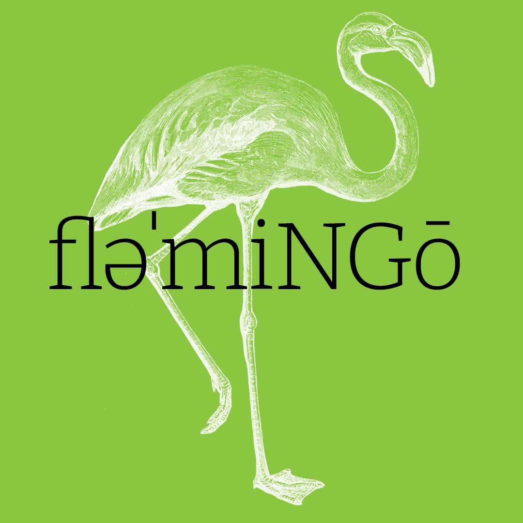 Flamingo–Animal Alphabet by Granite Bay Graphic Design
