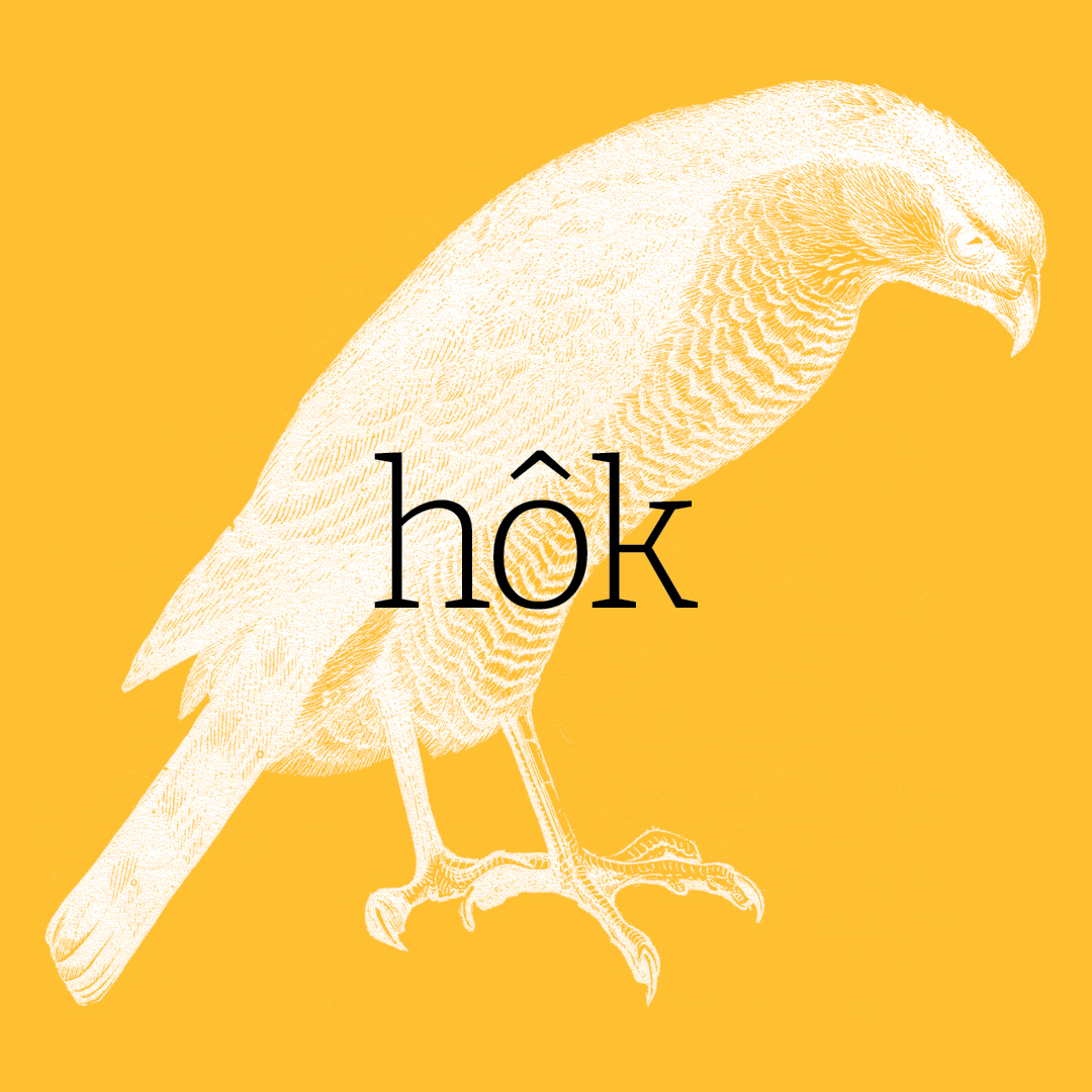 Hawk–Animal Alphabet by Granite Bay Graphic Design