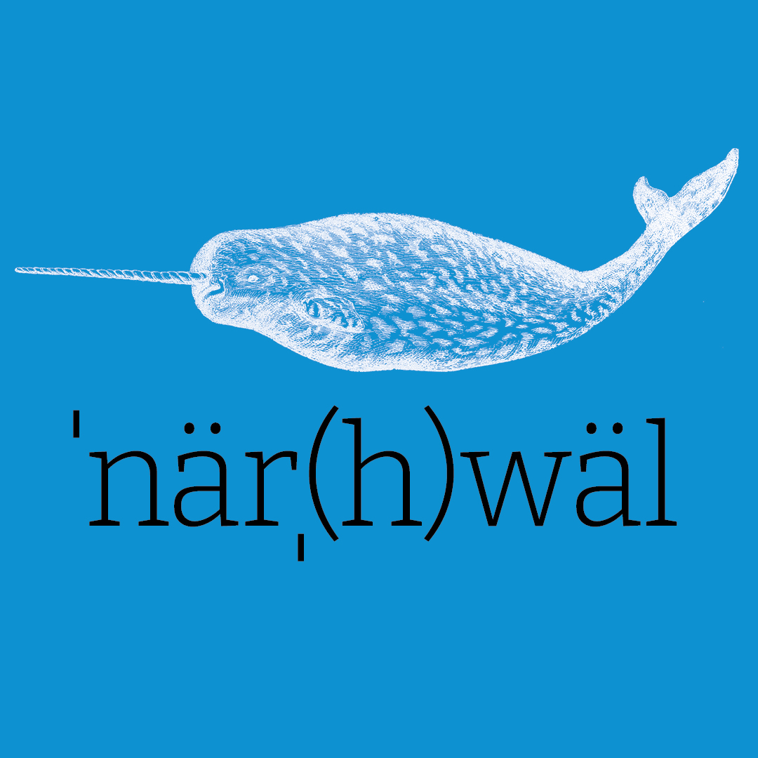 Narwhal–Animal Alphabet by Granite Bay Graphic Design