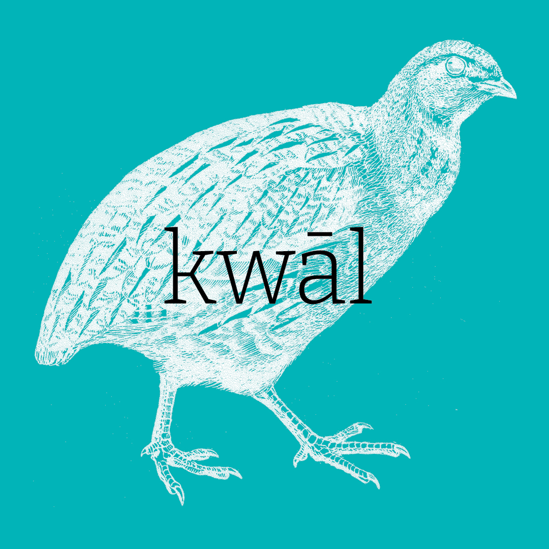 Quail–Animal Alphabet by Granite Bay Graphic Design