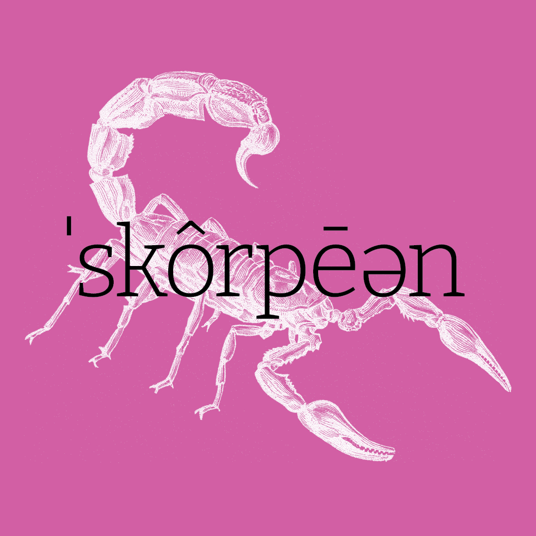 Scorpion–Animal Alphabet by Granite Bay Graphic Design