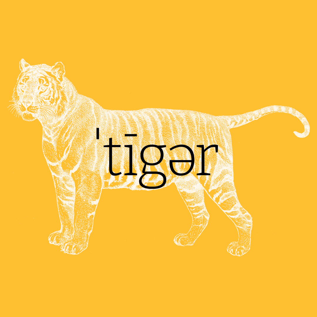 Tiger–Animal Alphabet by Granite Bay Graphic Design