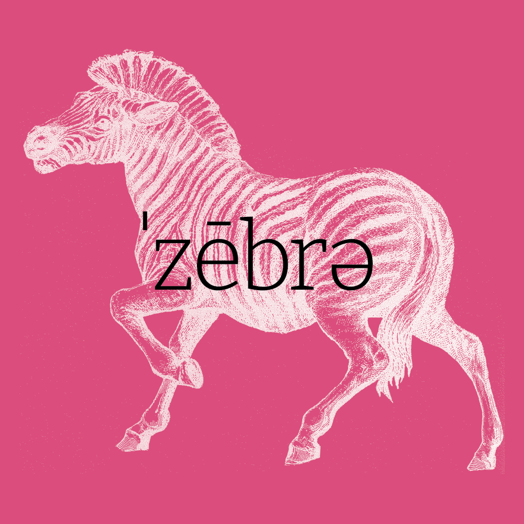 Zebra–Animal Alphabet by Granite Bay Graphic Design