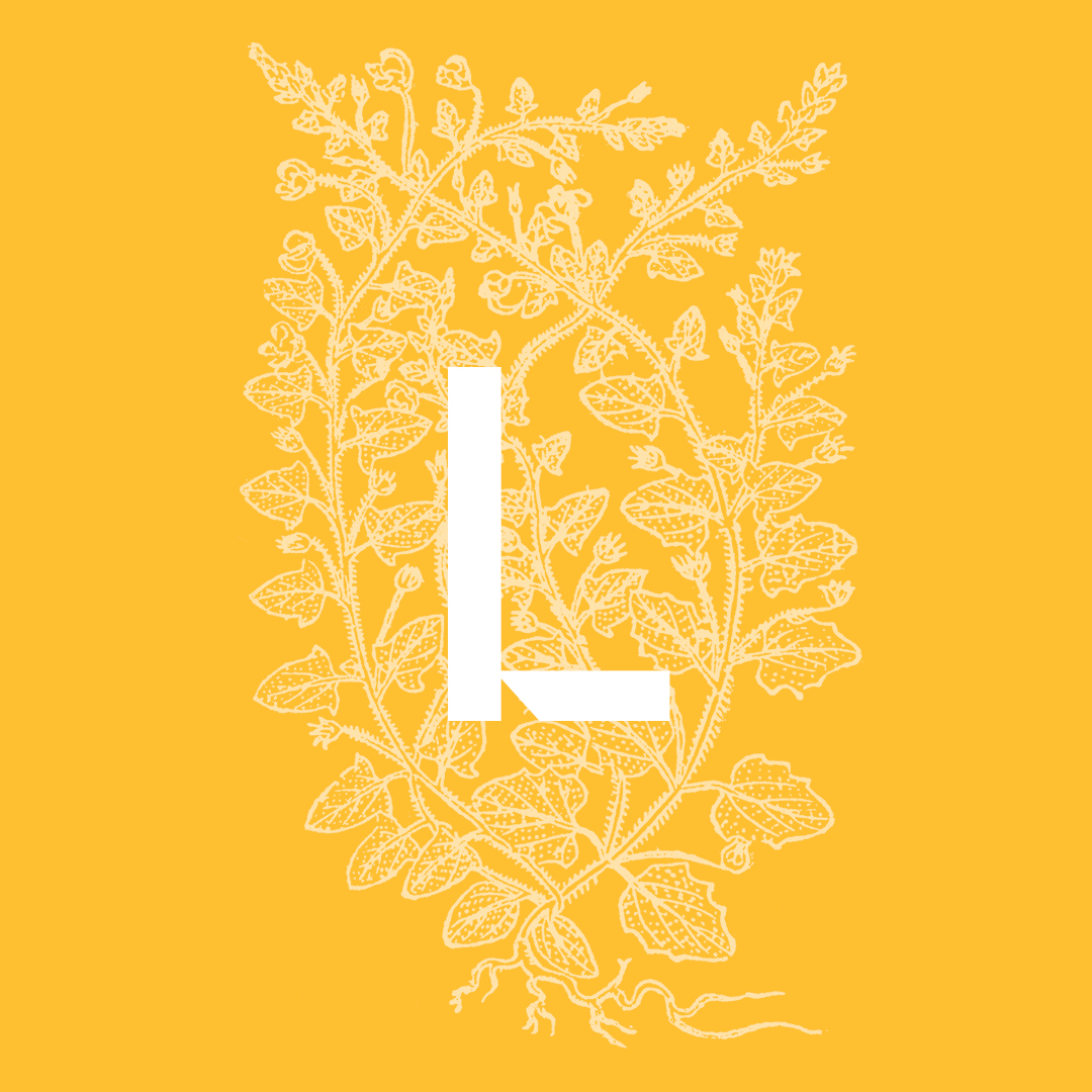 Linaria (Pointed) from the Granite Bay Graphic Design Plant and Flower Alphabet