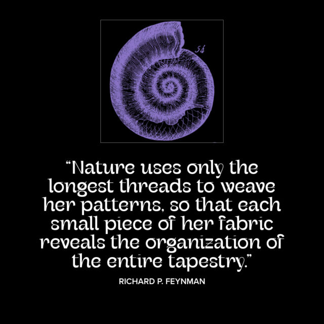 Nature and patterns quotation from Richard P. Feynman. Part of “The Vision Series” on Granite Bay Graphic Design