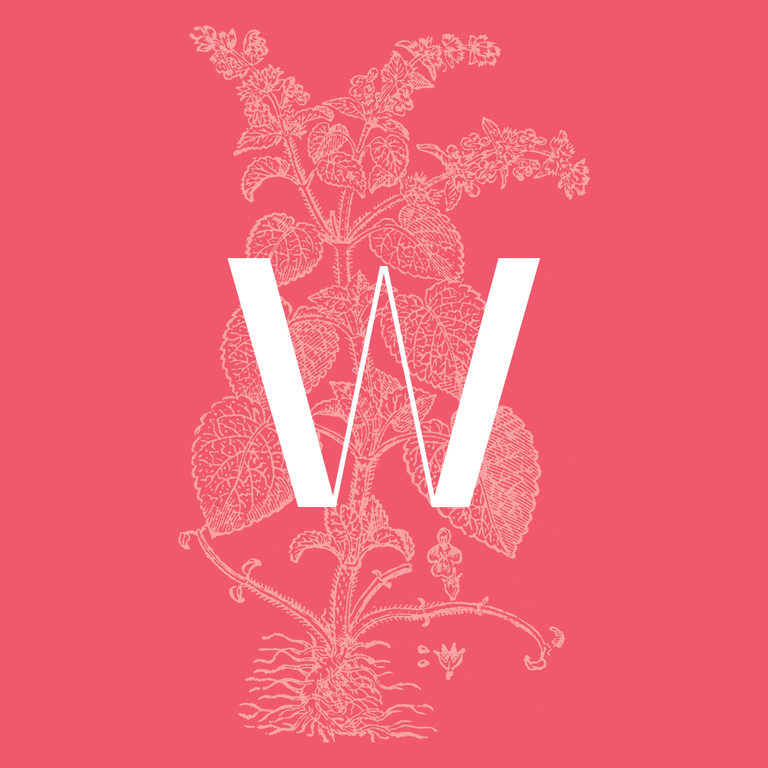 Wound-Wort from the Granite Bay Graphic Design Plant and Flower Alphabet