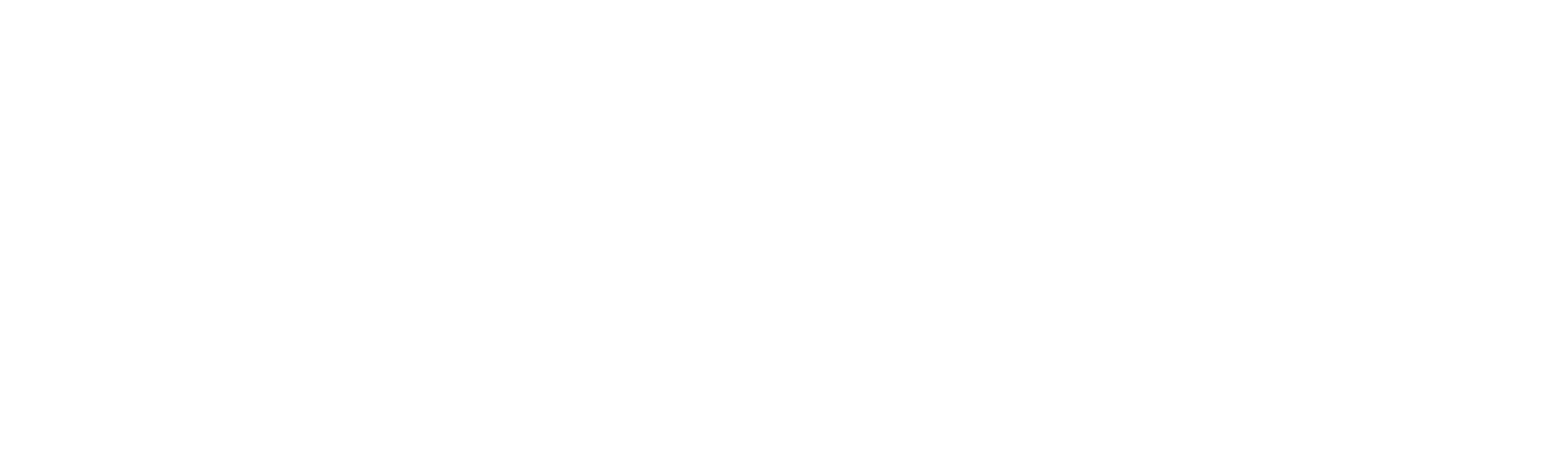 Long, Intertwined Animals: Celtic Stencils by Co Spinhoven on Granite Bay Graphic Design