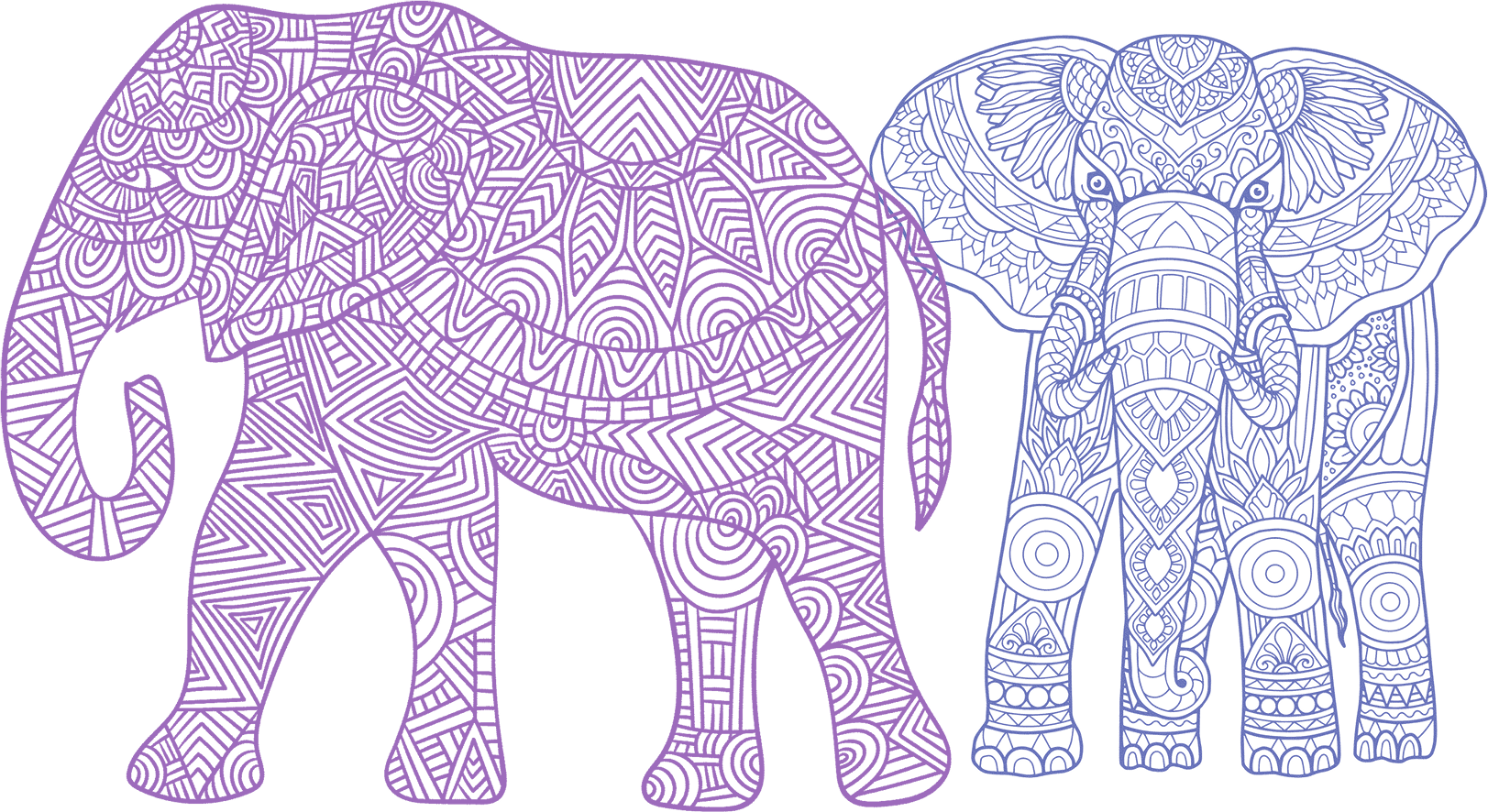 Elephant Mandala Style Artwork on a Granite Bay Graphic Design Microsite
