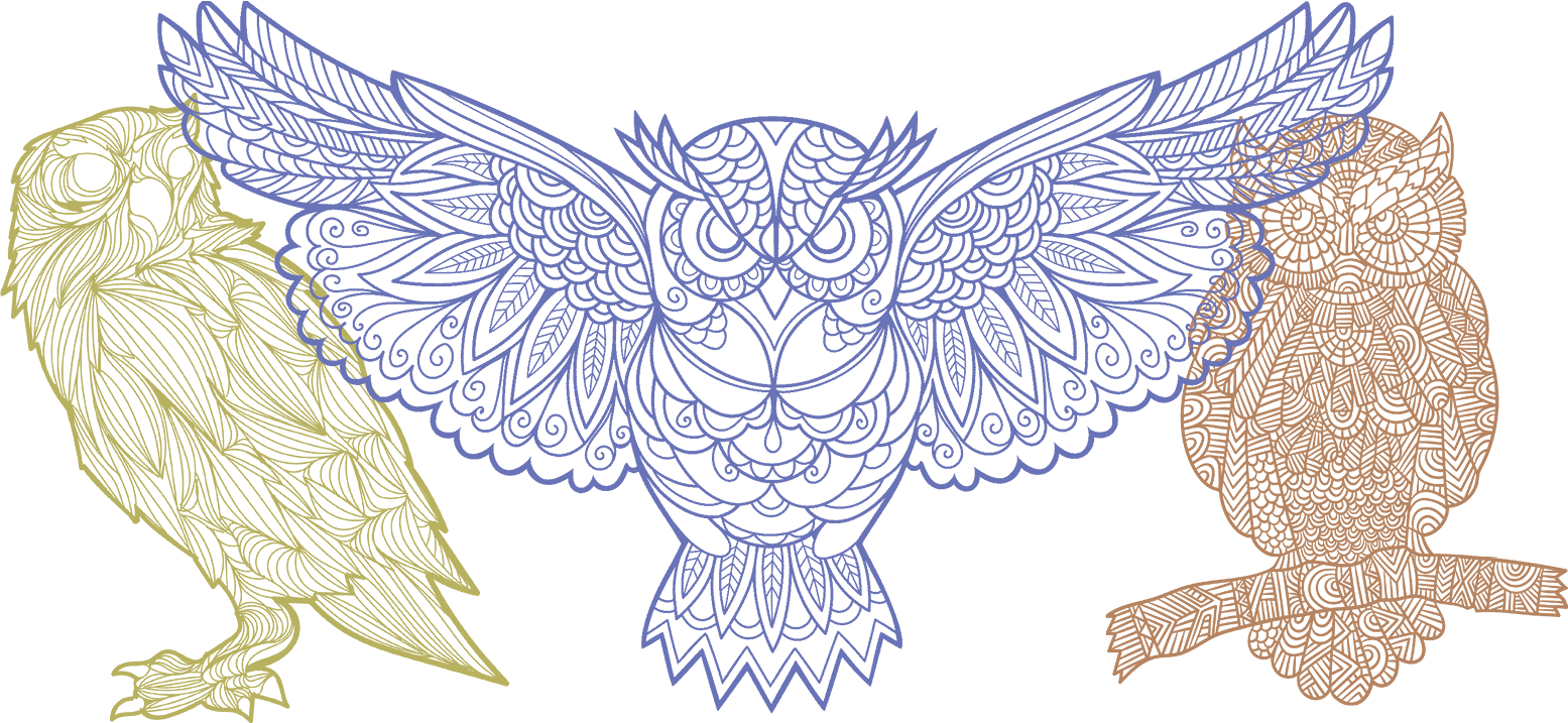 Owls in Colorful Mandala Style Artwork on a Granite Bay Graphic Design Microsite