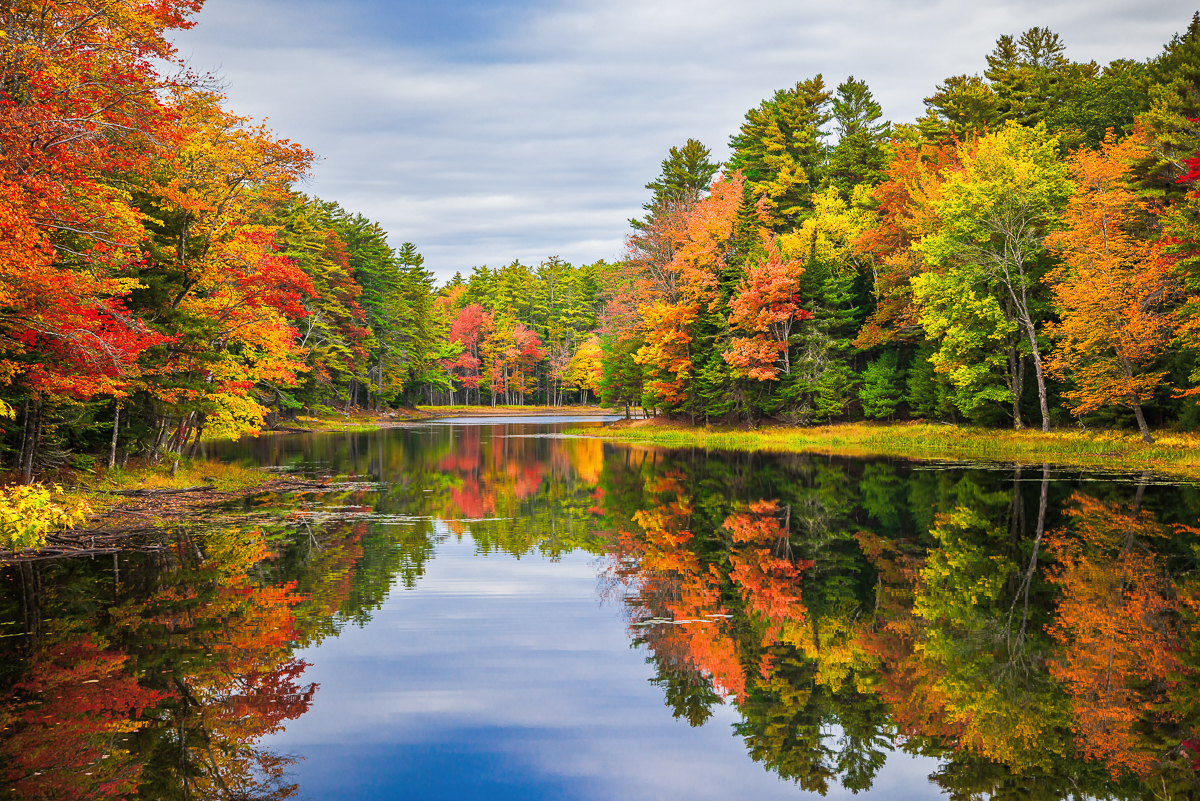 Colorful tree reflections in pond on a beautiful autumn day in New England