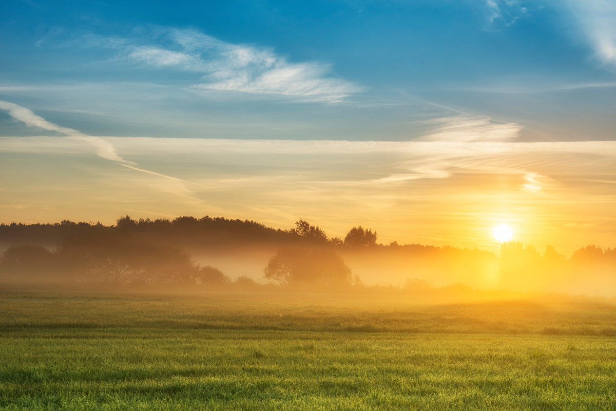 Beautiful summer sunrise over fields