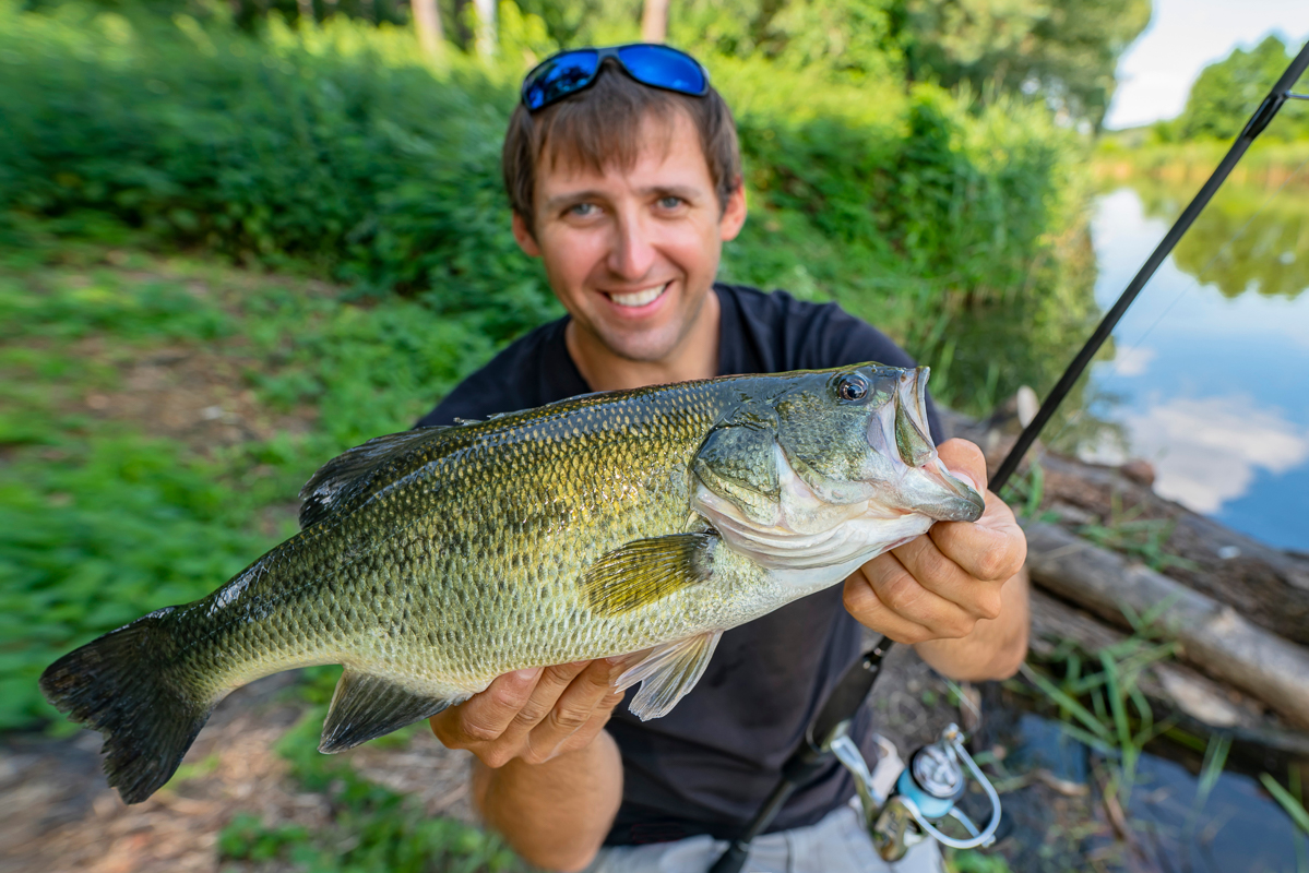 Bass fishing. Fisherman holding largemouth perch fish