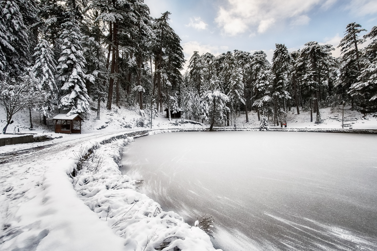 Frozen lake landscape