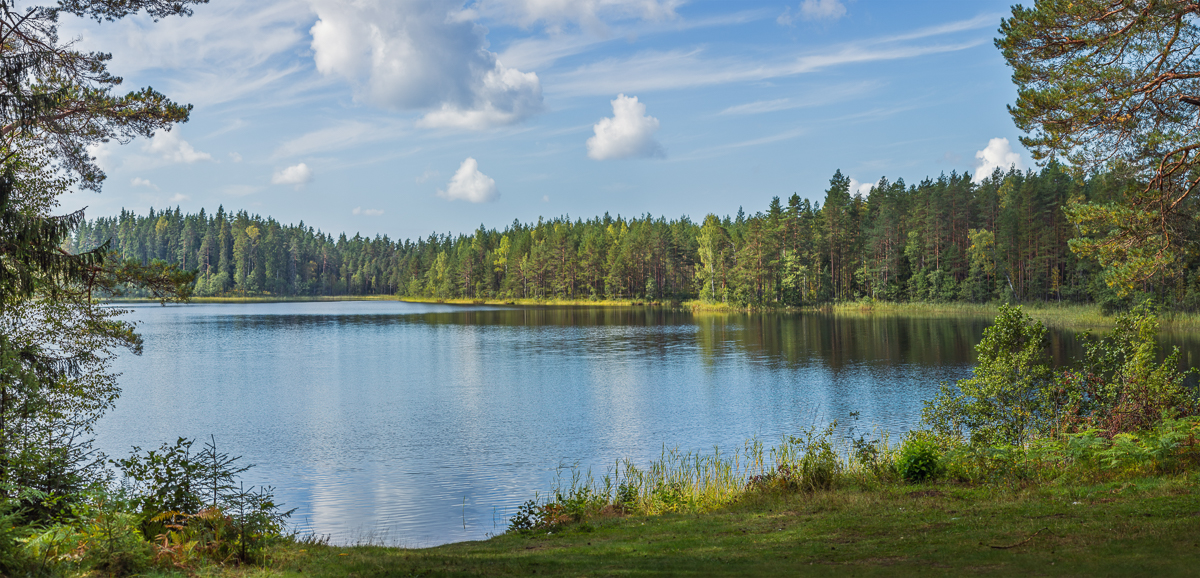 Panoramic view of beautiful forest lake in Russia.