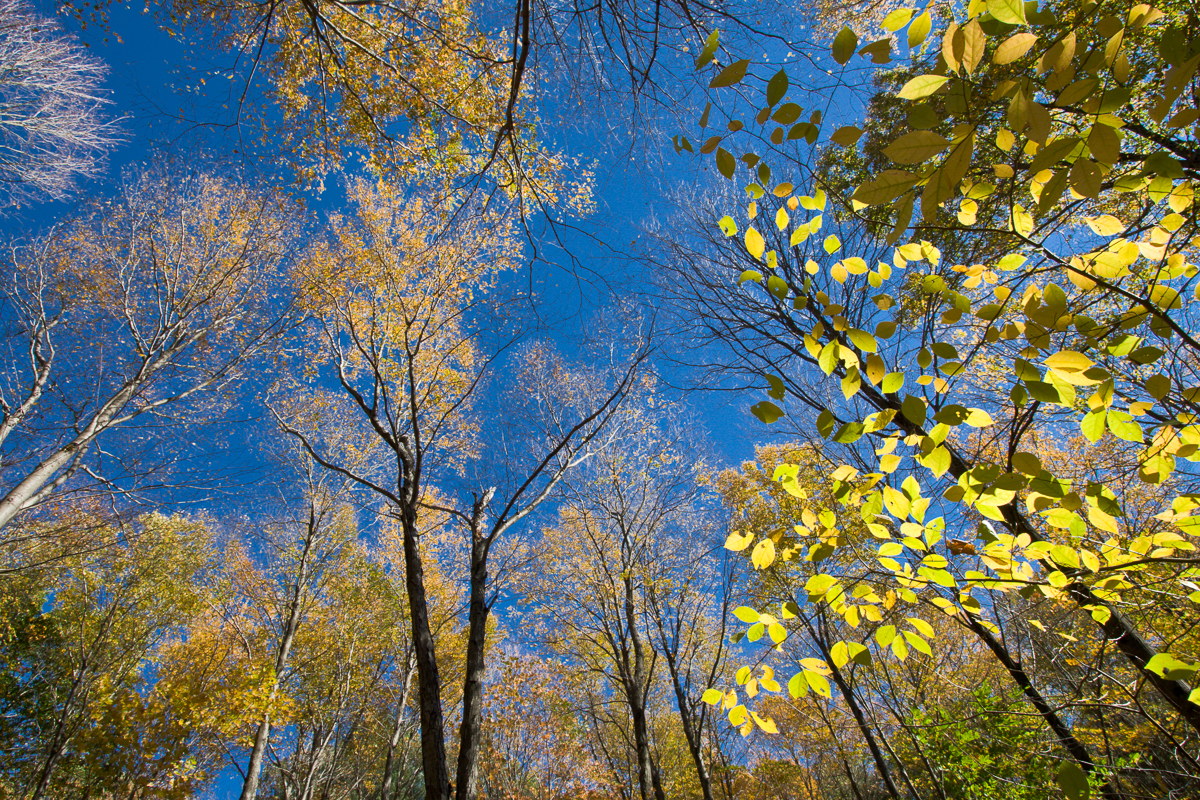 Sugarloaf 2007-10-28