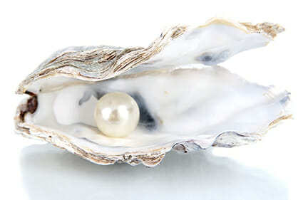 All art is autobiographical; the pearl is the oyster’s autobiography.