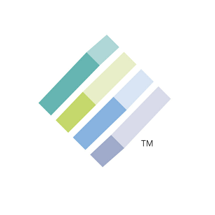 INFINI Statistical Software Logo Branding Corporate Identity by Granite Bay Design