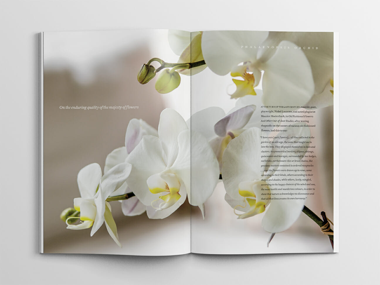Madison Flower Shop Magazine–Catalog–Brochure Granite Bay Design