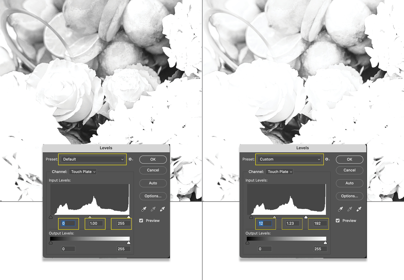 Touch Plate Demo: Adobe Photoshop Levels Before and After: Granite Bay Graphic Design