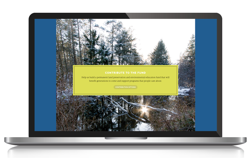 The Watershed Fund Website: Design, Development and Ongoing Maintenance and Updates by Granite Bay Design