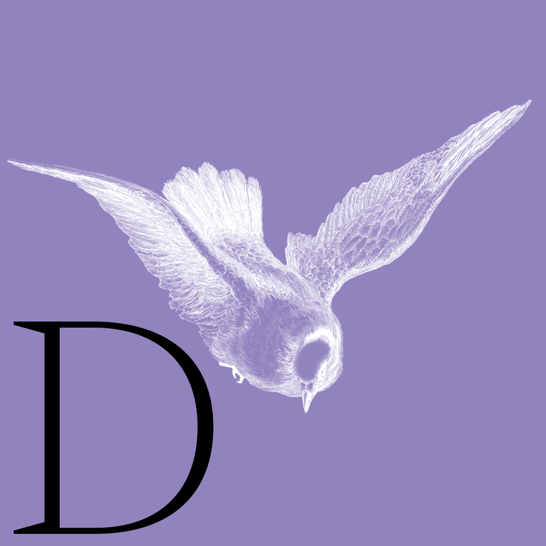 Dove–From the Granite Bay Graphic Design Animal Alphabet