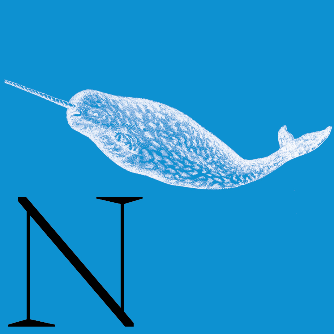 Narwhal–From the Granite Bay Graphic Design Animal Alphabet