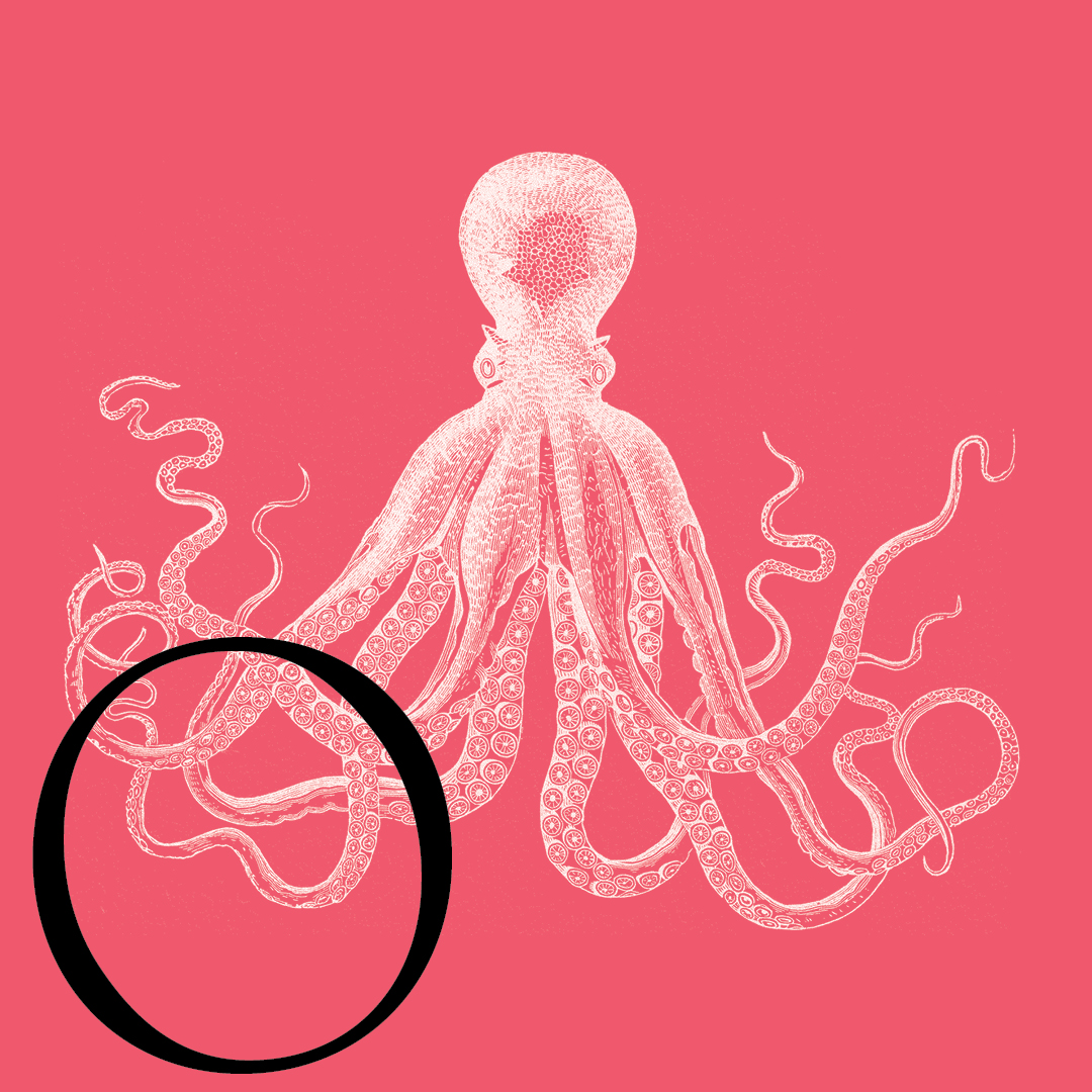 Octopus–From the Granite Bay Graphic Design Animal Alphabet