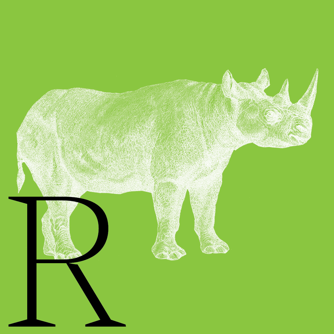 Rhinoceros–From the Granite Bay Graphic Design Animal Alphabet