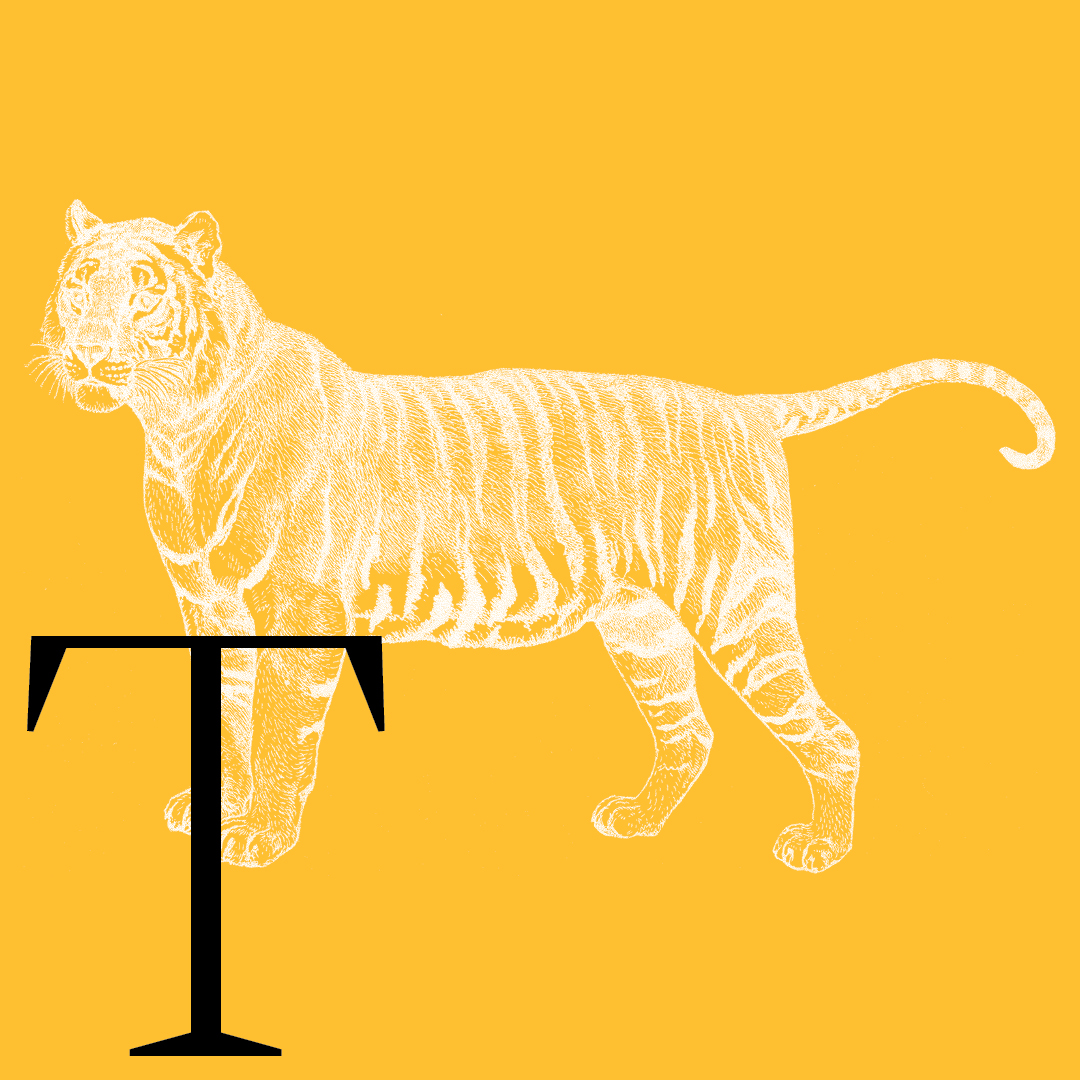 Tiger–From the Granite Bay Graphic Design Animal Alphabet