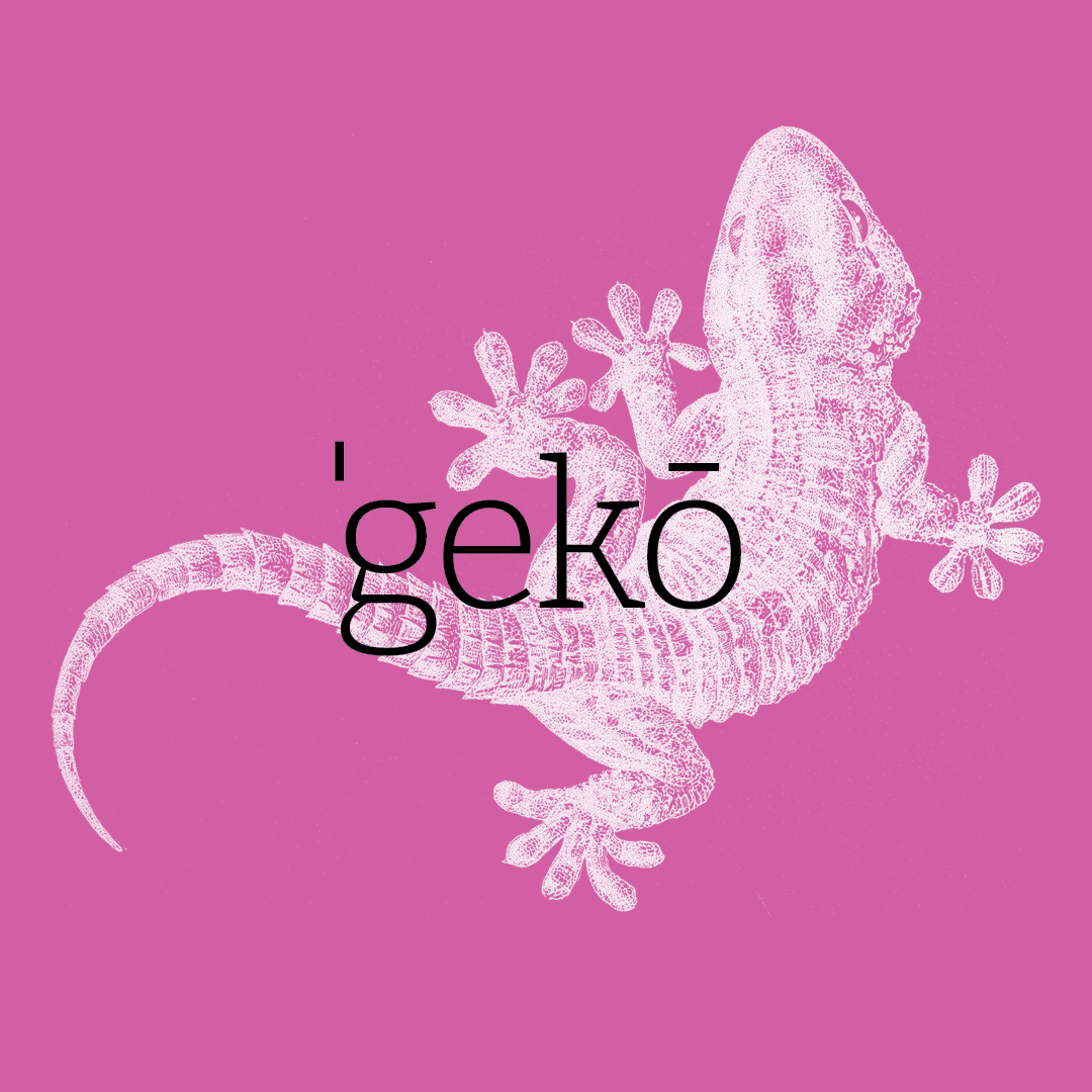 Gecko–Animal Alphabet by Granite Bay Graphic Design