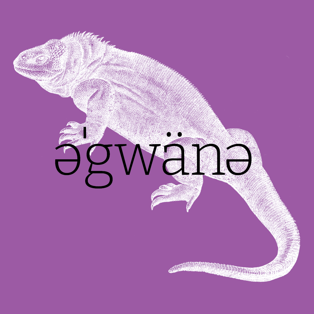 Iguana–Animal Alphabet by Granite Bay Graphic Design