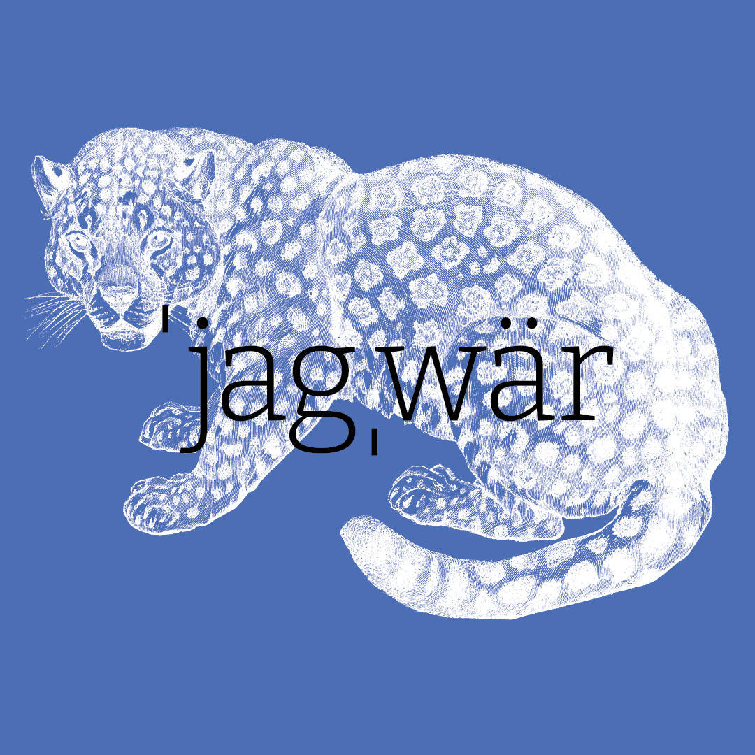 Jaguar–Granite Bay Design Animal Alphabet
