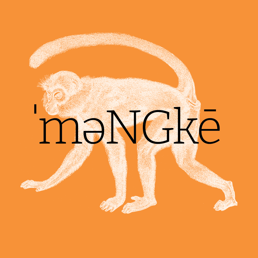 Monkey–Animal Alphabet by Granite Bay Graphic Design