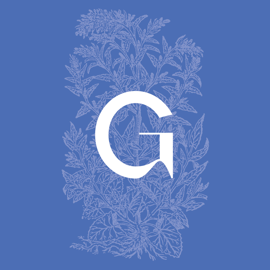 Garden Orache from the Granite Bay Graphic Design Plant and Flower Alphabet