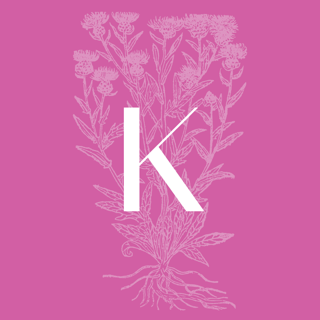 Knapweed (Black) from the Granite Bay Graphic Design Plant and Flower Alphabet