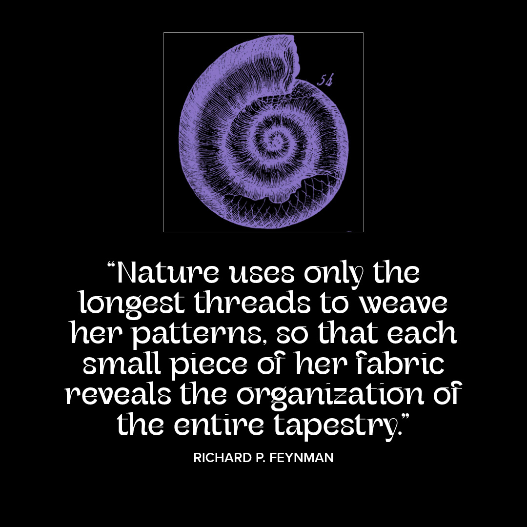 “Nature uses only the longest threads to weave her patterns…”