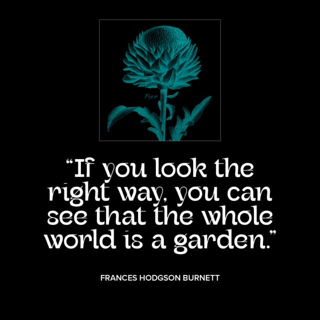 Garden and the world quotation from Frances Hodgson Burnett. Part of “The Vision Series” on Granite Bay Graphic Design