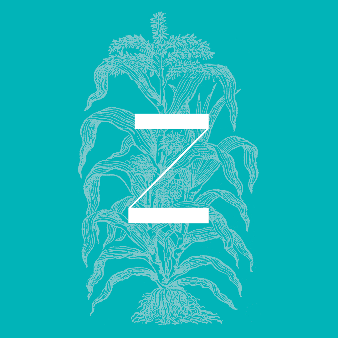 Zea Maise: From the Plant and Flower Alphabet