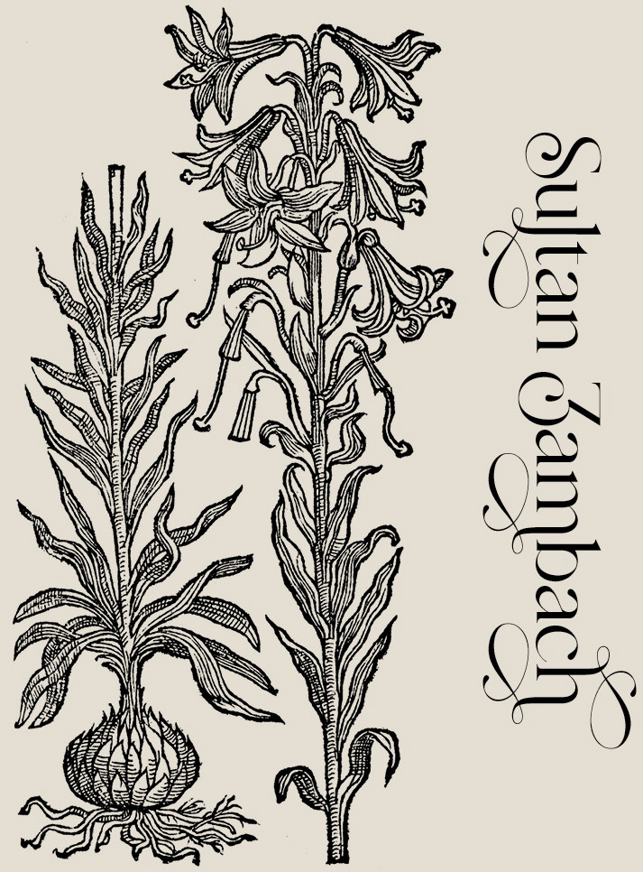 Sultan Zambach—Plant and Flower Engravings on Granite Bay Graphic Design